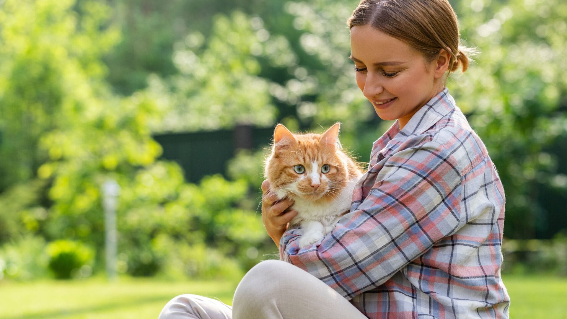 best cat breeds for allergy sufferers in Fresno and Merced - Sierra Allergy Asthma and Sinus Center