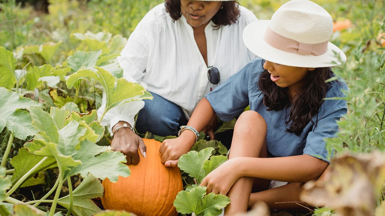 Understanding causes and symptoms of seasonal allergies