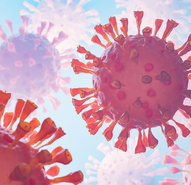 Seasonal allergy triggers in Central California