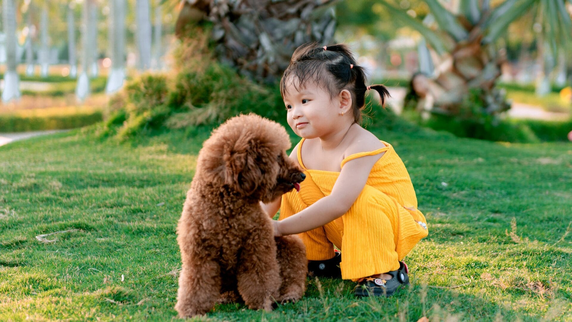10 hypoallergenic dogs that are best for families with kids