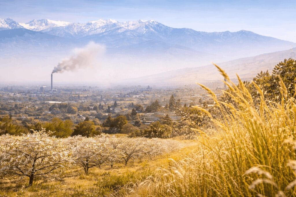 Fresno Merced allergy relief: Cityscape with mountains, trees, and factory smoke